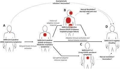 Chronic SARS-CoV-2, a Cause of Post-acute COVID-19 Sequelae (Long-COVID)?